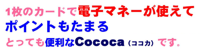 静岡県掛川市のスーパーサンゼン（三善）-ココラデカード　イメージ1
